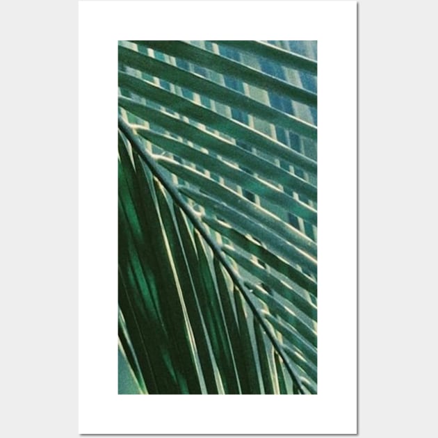 Tropical Palm Tree Leaf Wall Art by SoCalDreamin